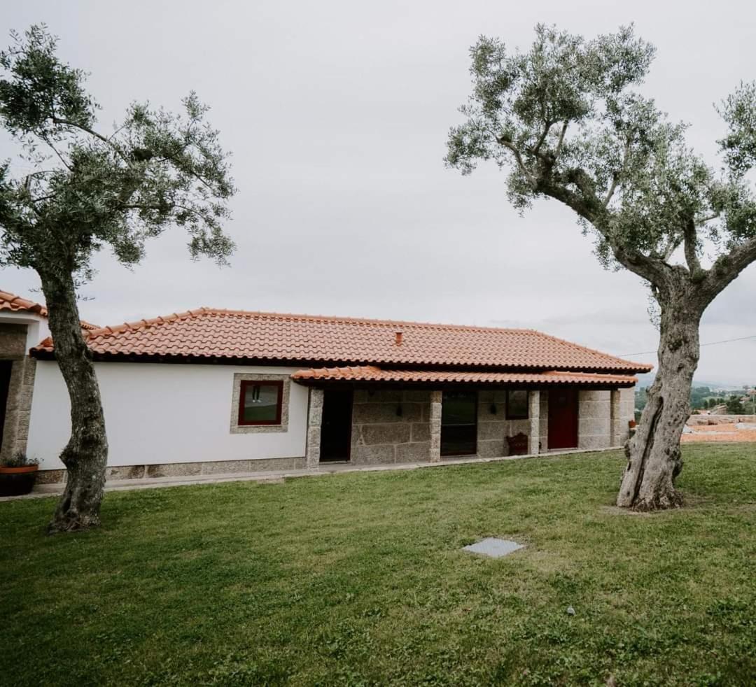 Penedo Village Marco de Canavezes Dış mekan fotoğraf
