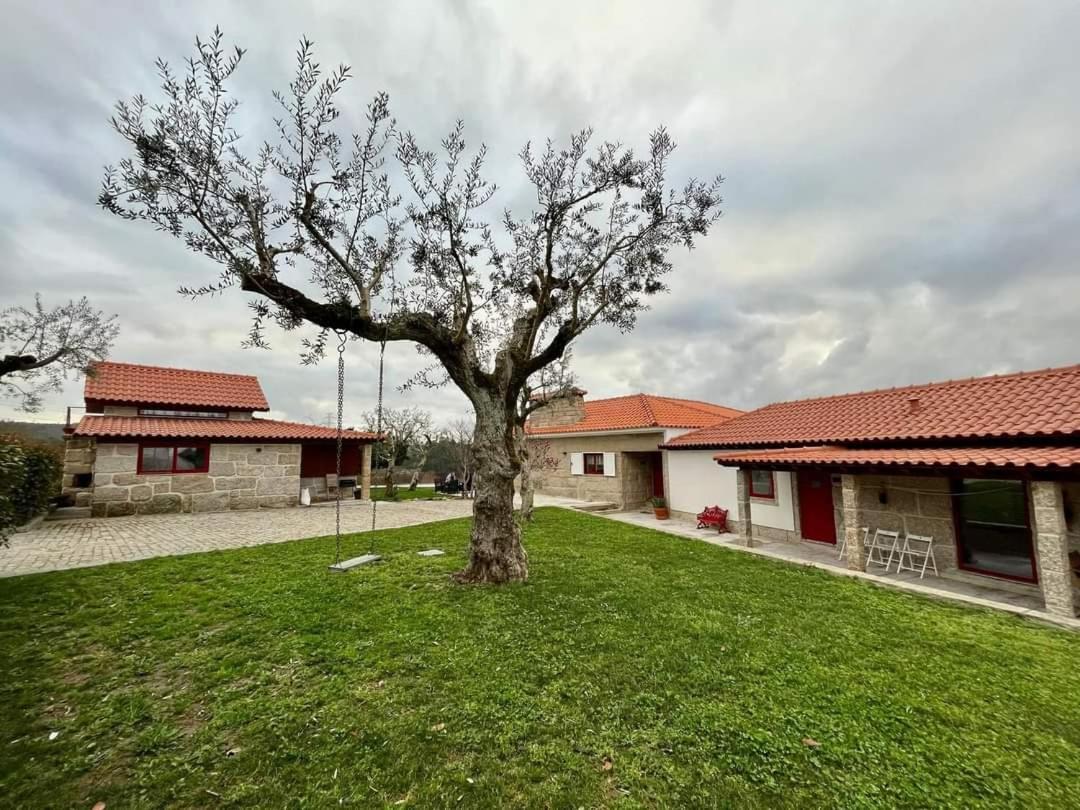 Penedo Village Marco de Canavezes Dış mekan fotoğraf